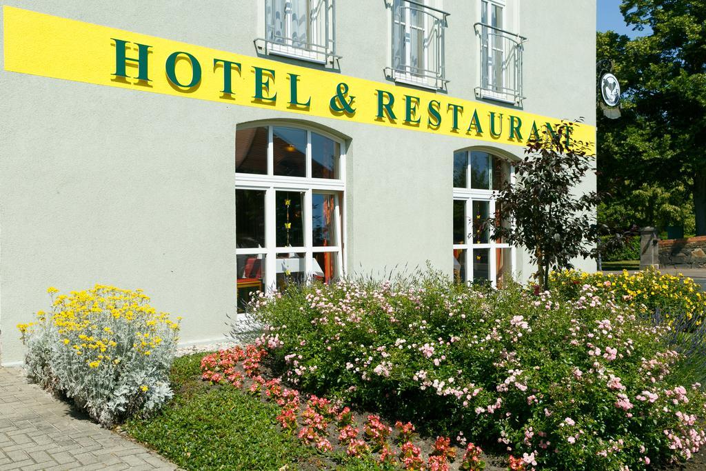 Hotel Goldener Fasan Oranienbaum-Woerlitz Dış mekan fotoğraf